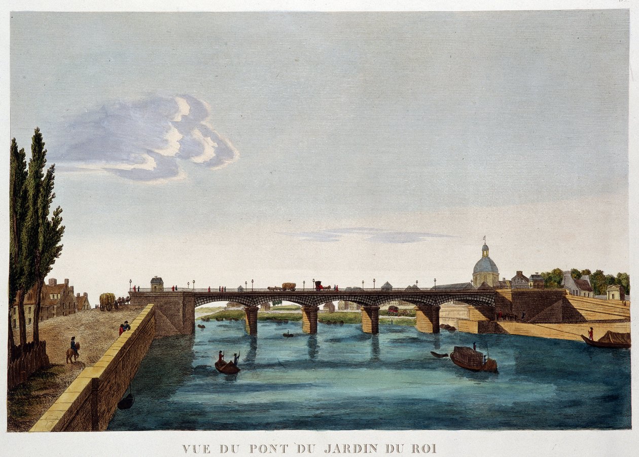 View of the King