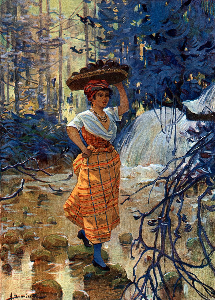 Portrait of Young Woman from French Antilles by Henri Gaston Darien