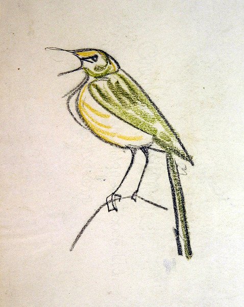 Bird by Henri Gaudier Brzeska