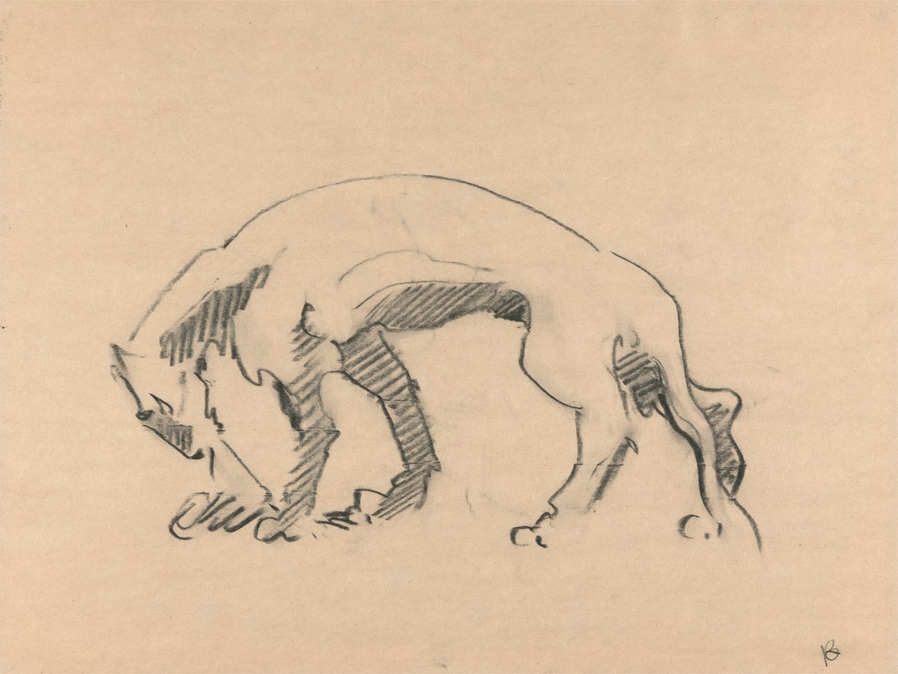 Lioness in Profile by Henri Gaudier Brzeska