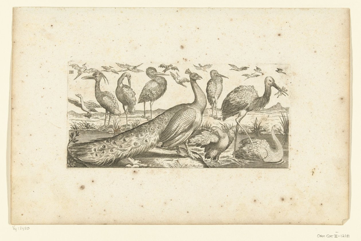 Nineteen Birds (Birds) by Henri Le Roy