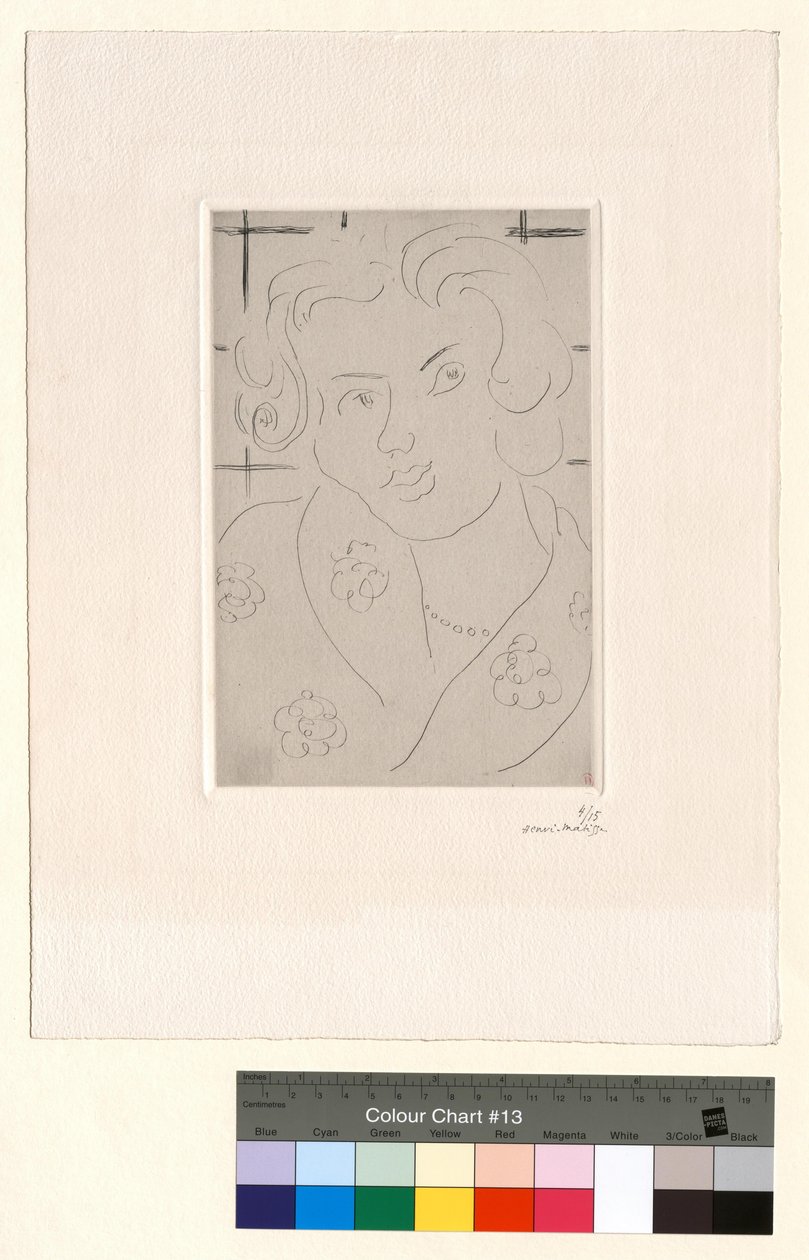 Bust, Flowered Dress by Henri Matisse