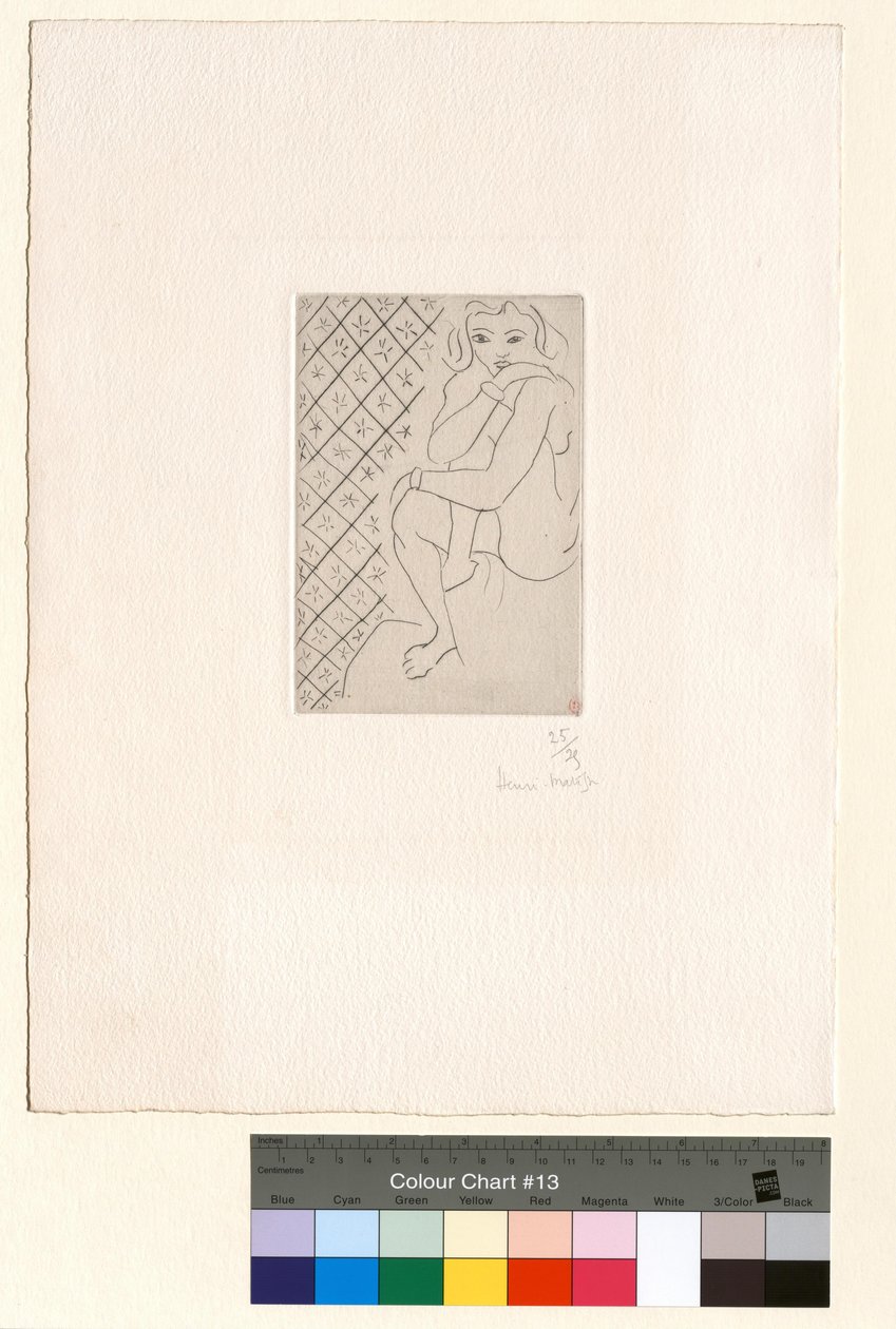 Seated Nude, Starry Checkered Background by Henri Matisse
