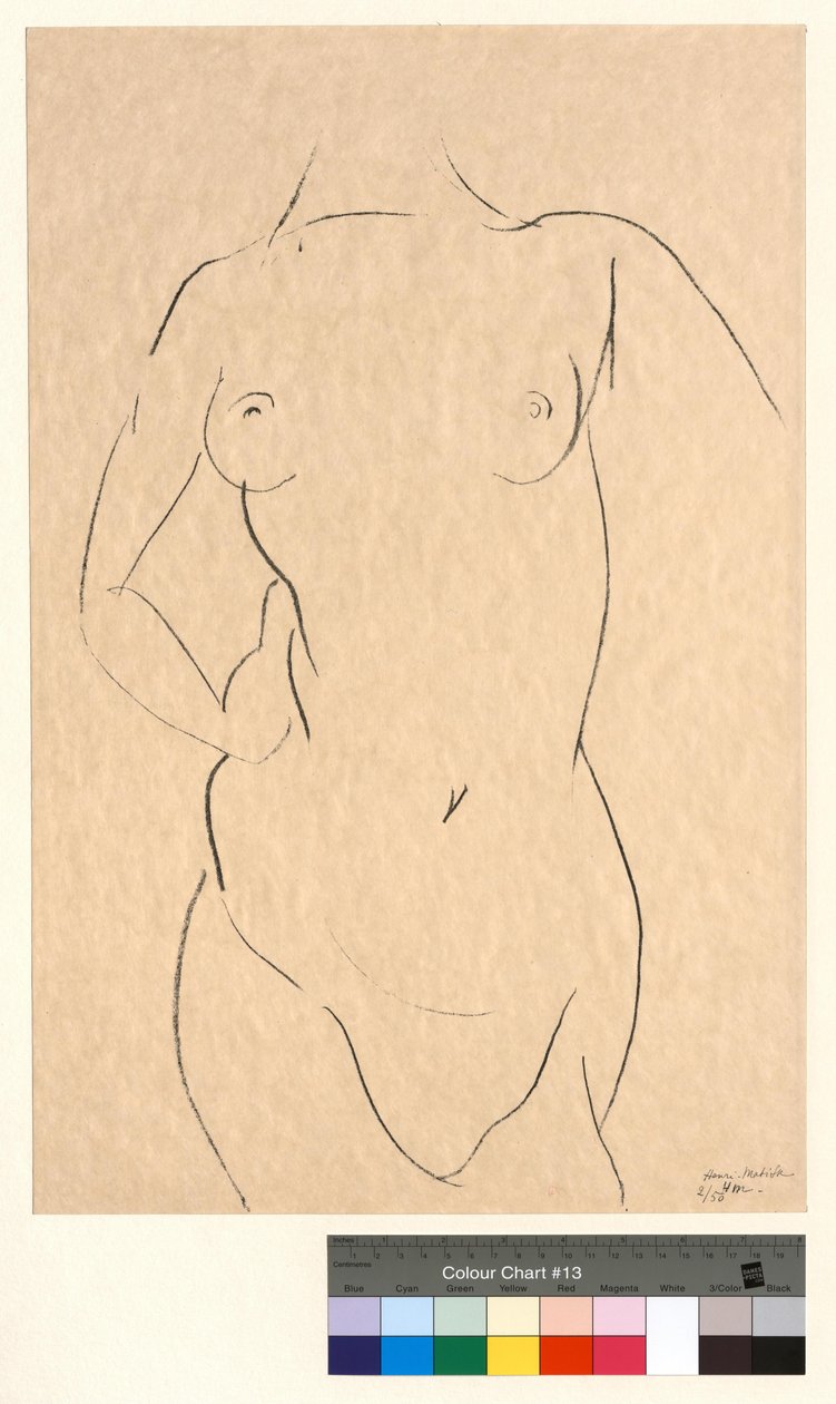 Torso from the Front by Henri Matisse