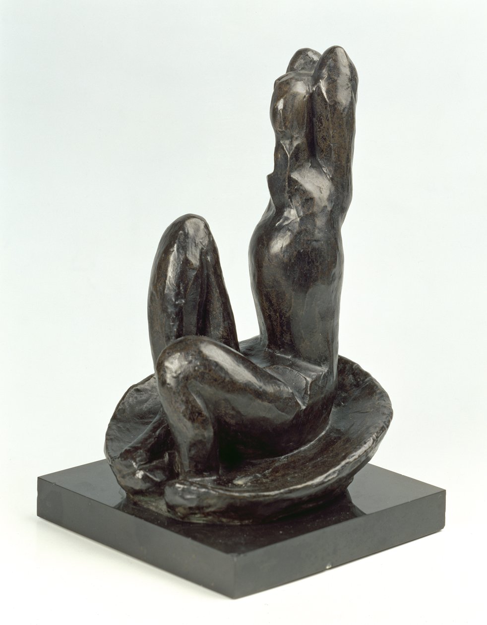 Venus in a Shell I by Henri Matisse