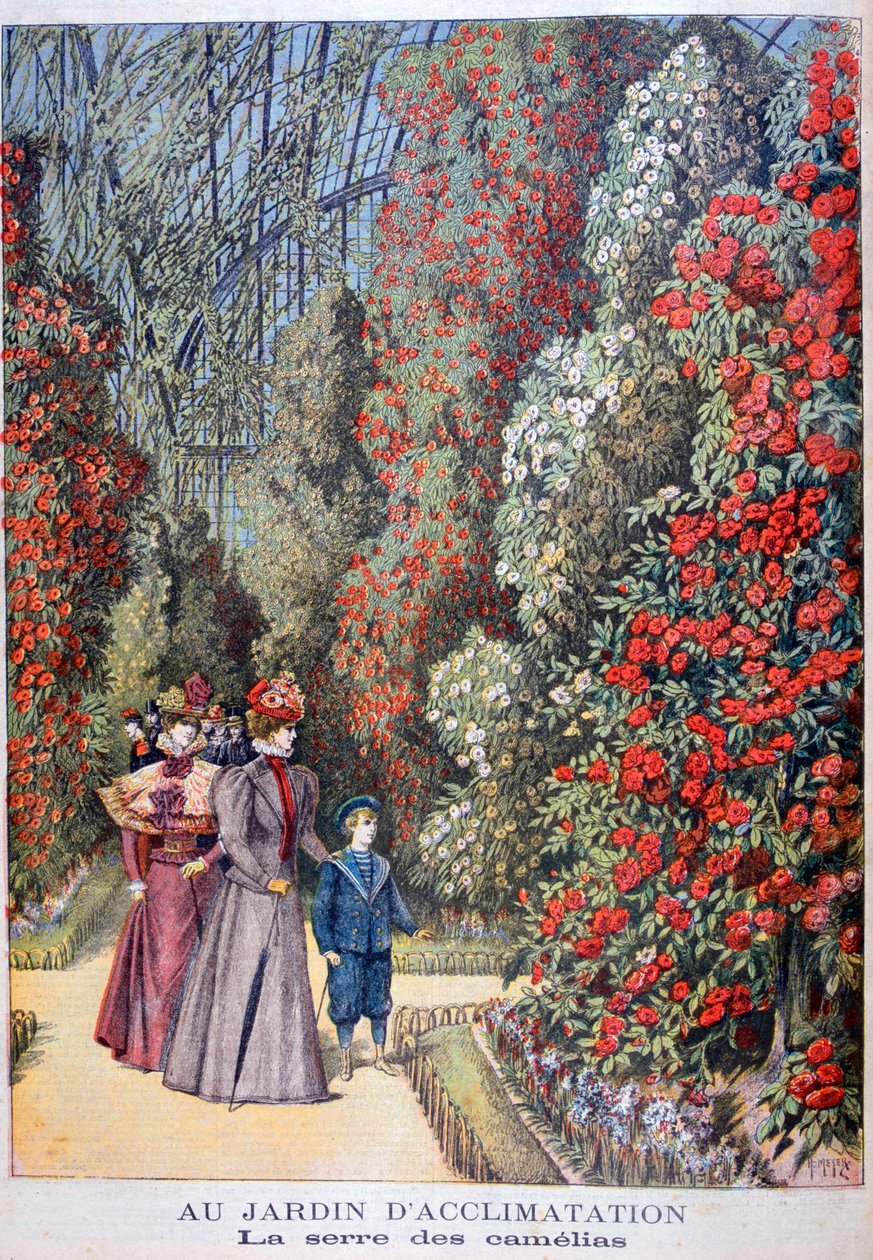 The Greenhouse of the Camellias, Zoological Gardens, Paris, 1897 by Henri Meyer