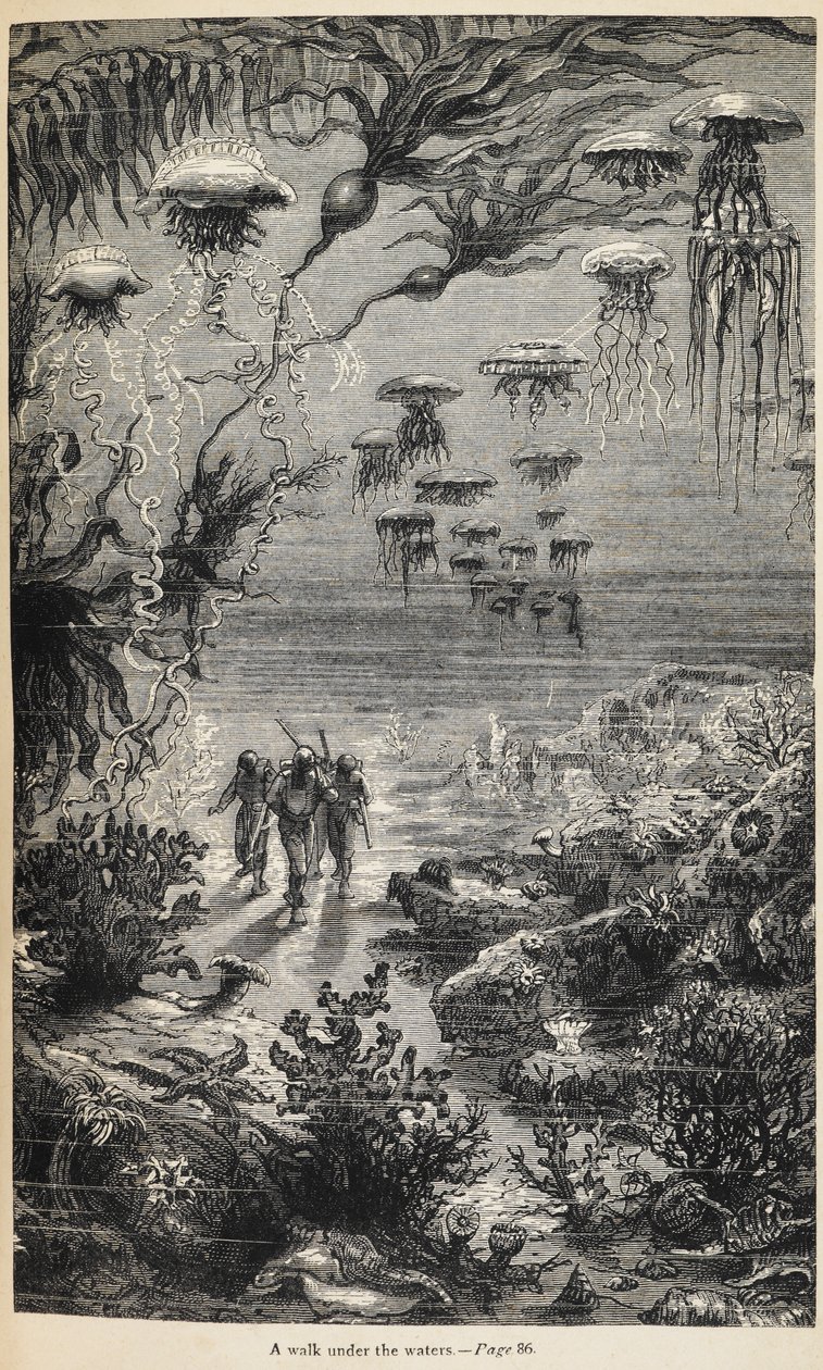 Illustration for 