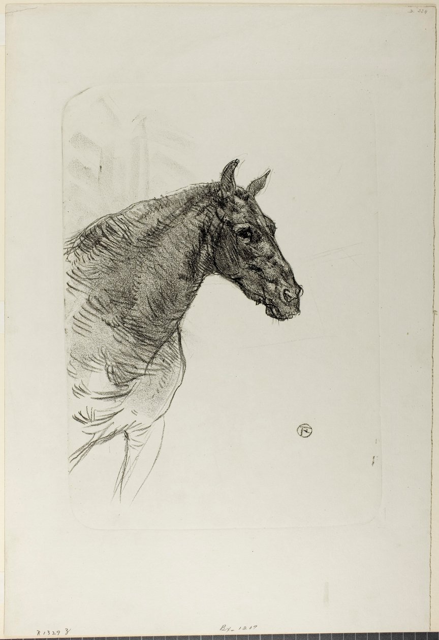 Philibert the Pony by Henri de Toulouse-Lautrec