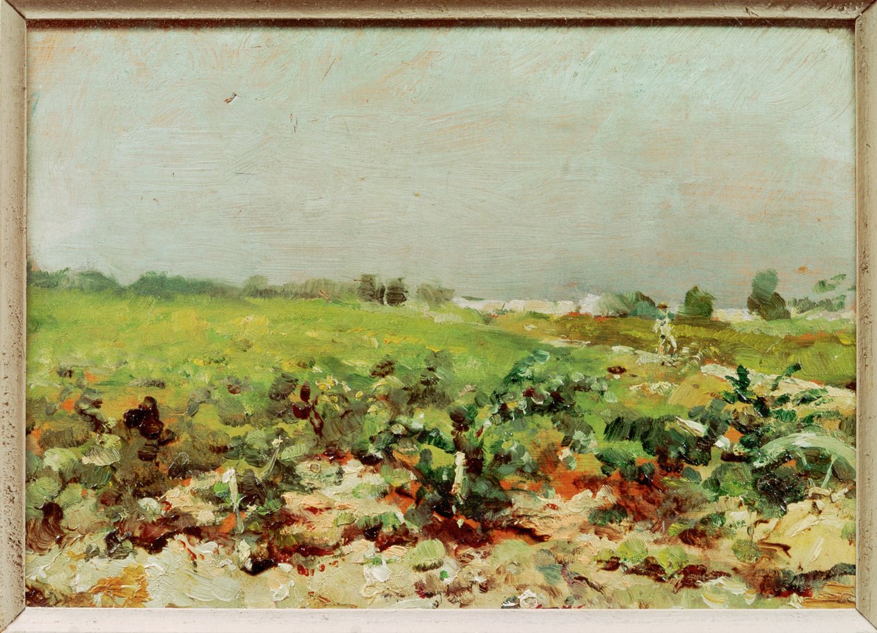 View of the Vineyards by Henri de Toulouse-Lautrec