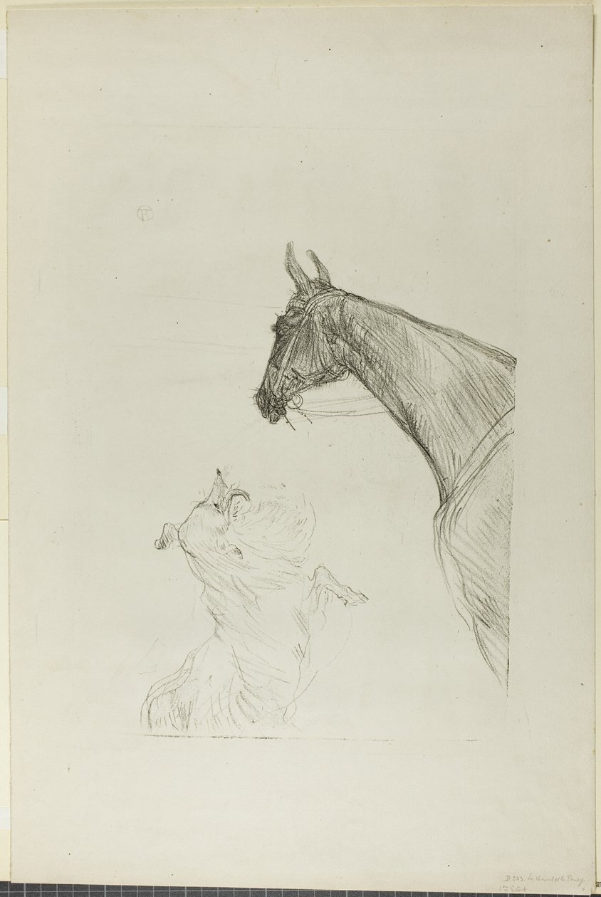 Horse and Collie by Henri de Toulouse Lautrec