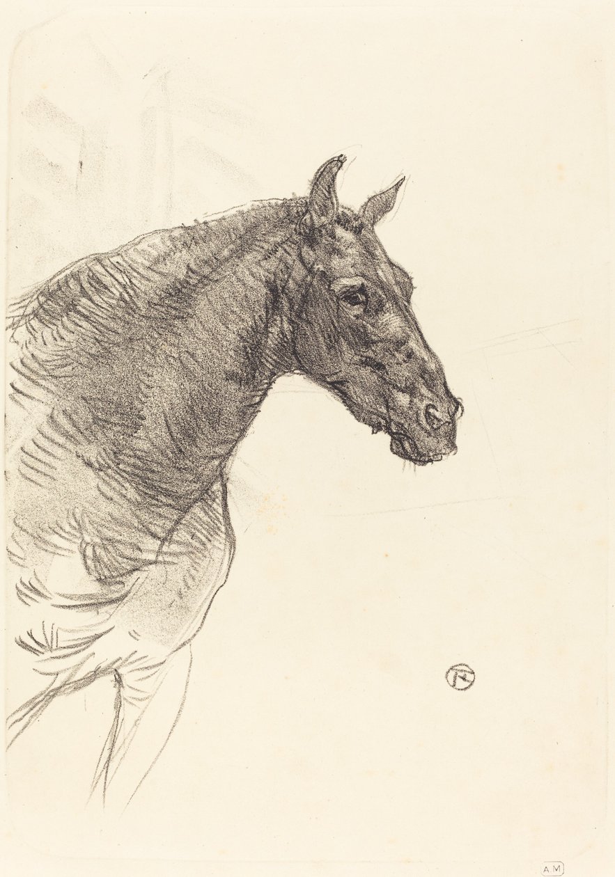 Old Horse by Henri de Toulouse Lautrec
