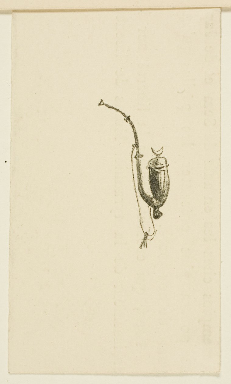 Tailpiece from Au Pied du Sinaï by Henri de Toulouse Lautrec