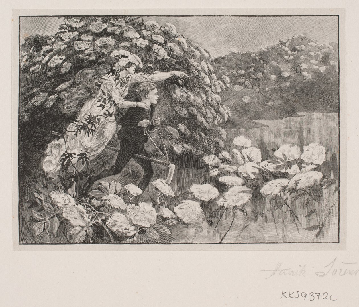 Illustration for H. C. Andersen: "The Elder-Tree Mother" by Henrik Arnold Hamilkar Sørensen
