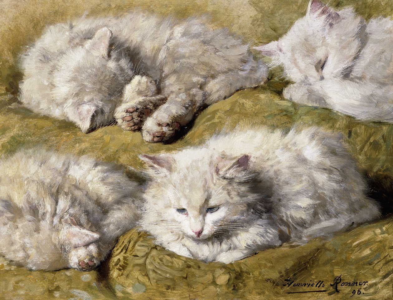 Studies of a Long-haired White Cat by Henriëtte Ronner Knip