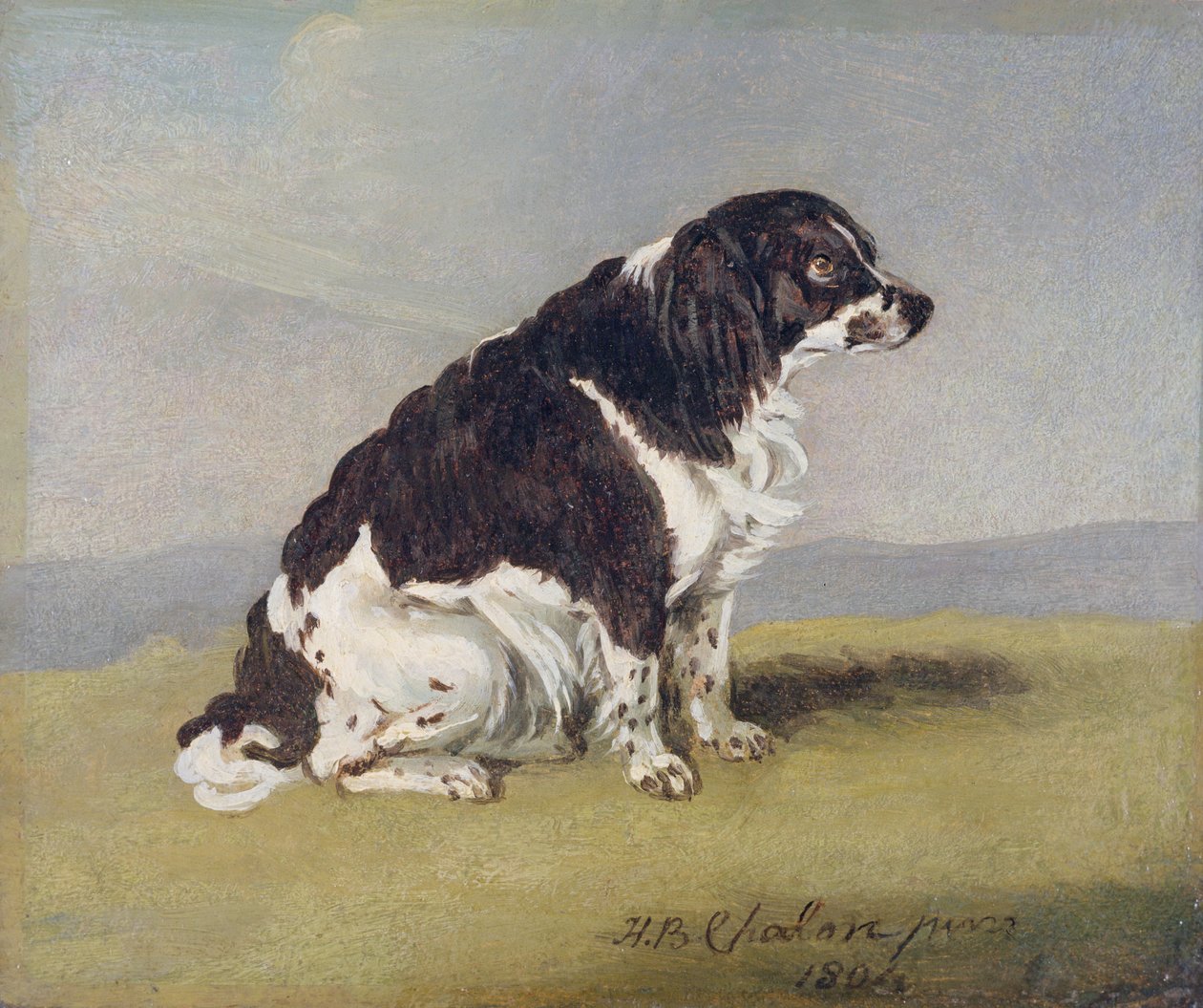 The Duchess of York