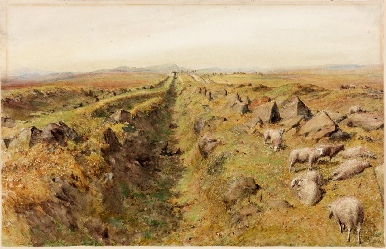 Limestone Bank by Henry Burdon Richardson