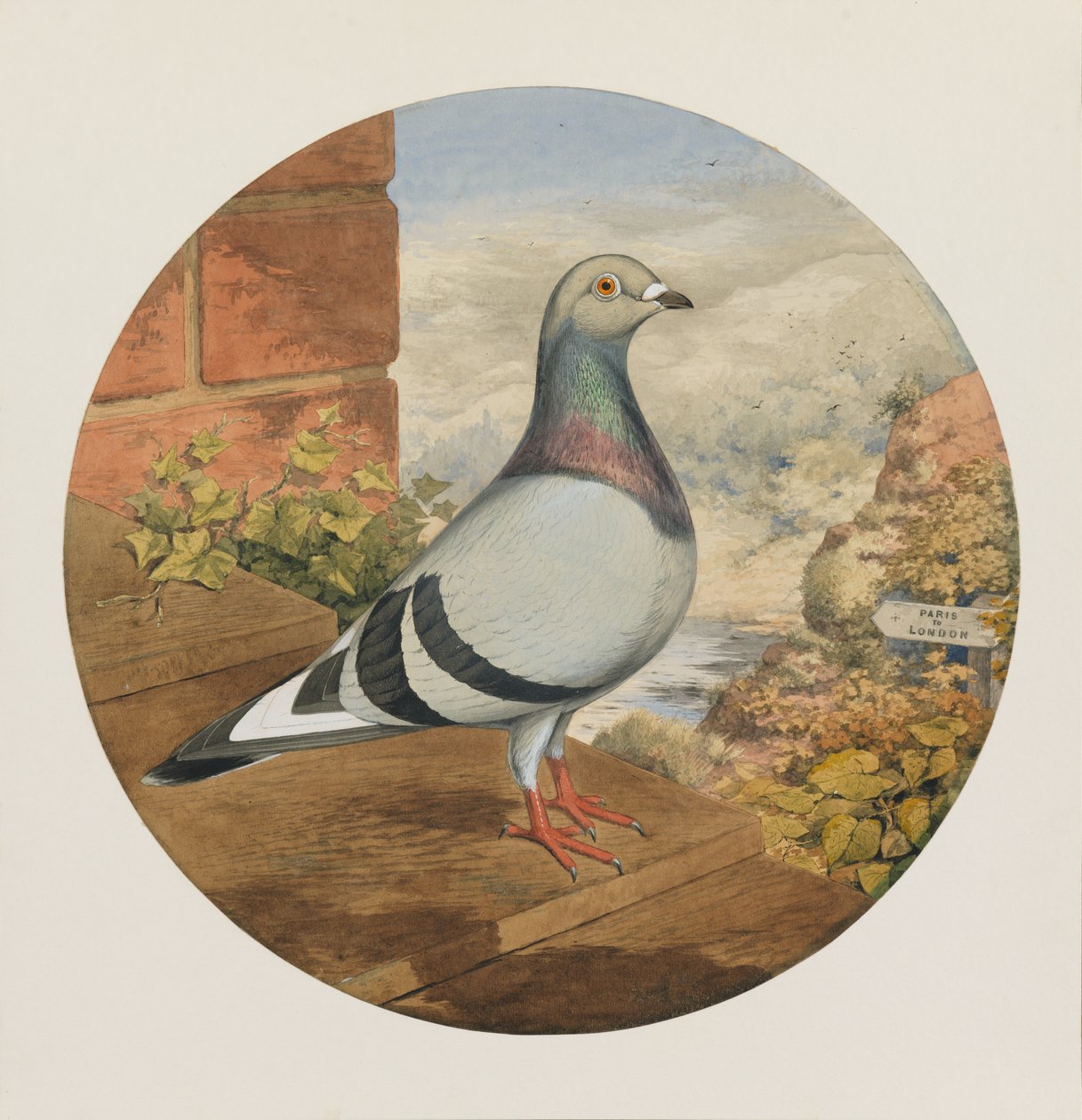 Racing Pigeons, Paris to London by Henry Stephen Ludlow