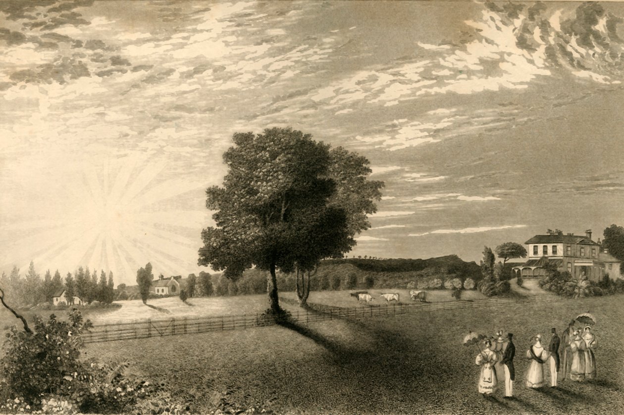 Sennicots by Henry Alexander Ogg