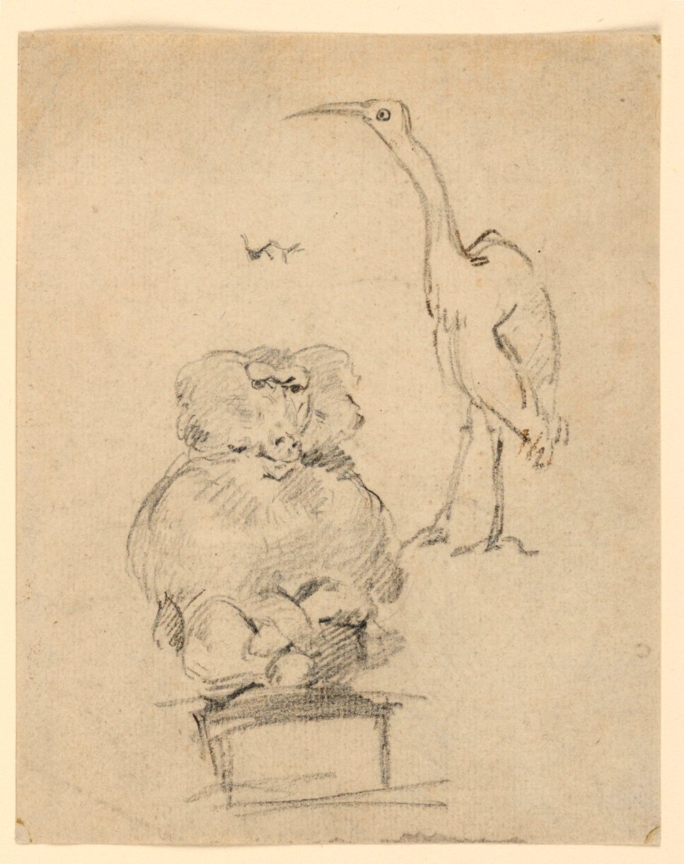 Studies of a Heron and a Monkey by Henry Bernard Chalon