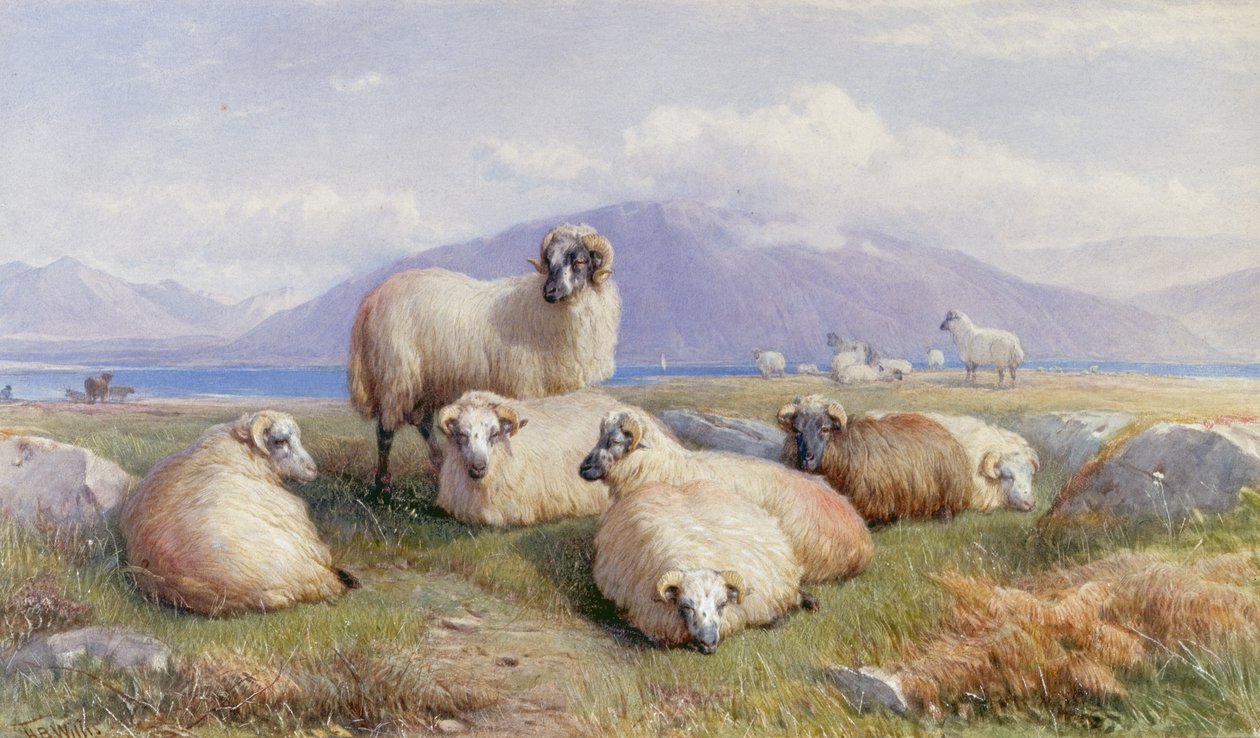 In the Heart of the Highlands by Henry Brittan Willis