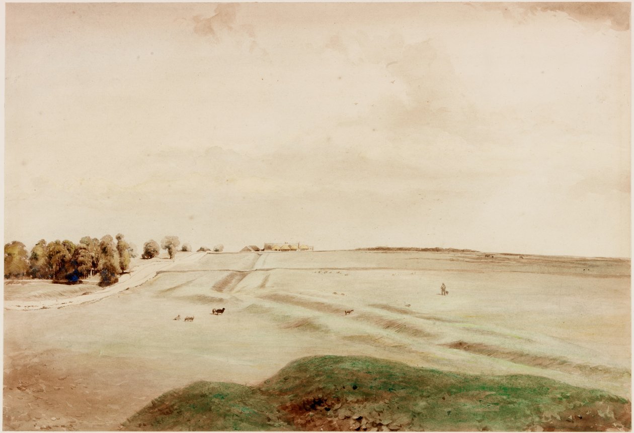 Down Hill, Northumberland by Henry Burdon Richardson