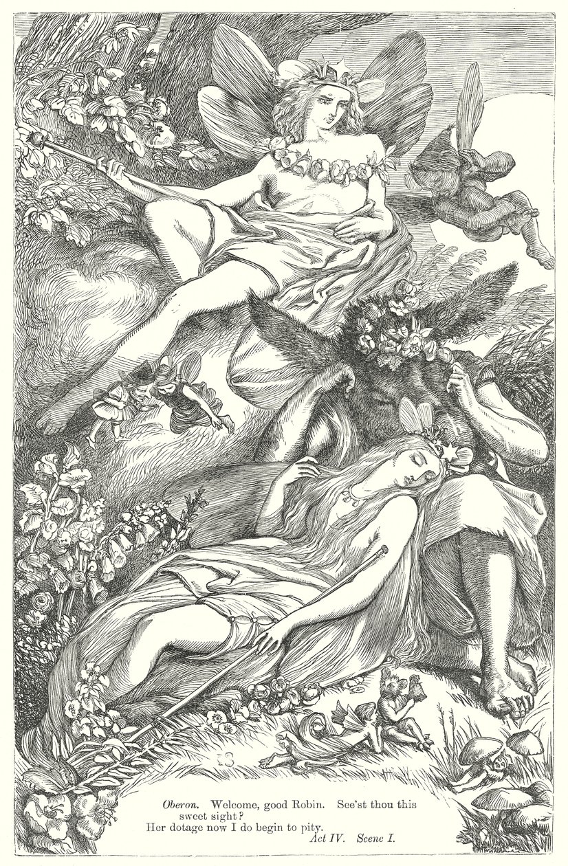 A Midsummer Night