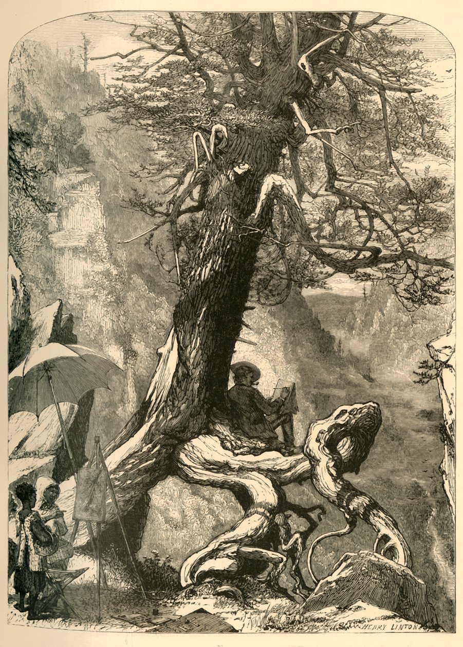 Above the Natural Bridge by Henry Duff Linton