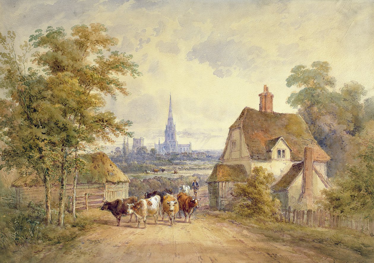 Chichester Cathedral, Sussex by Henry Earp