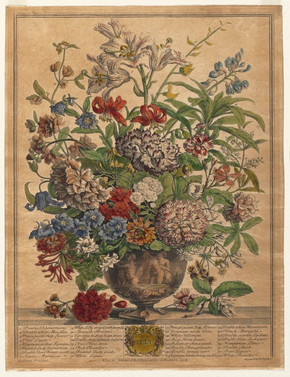 Twelve Months of Flowers: July by Henry Fletcher