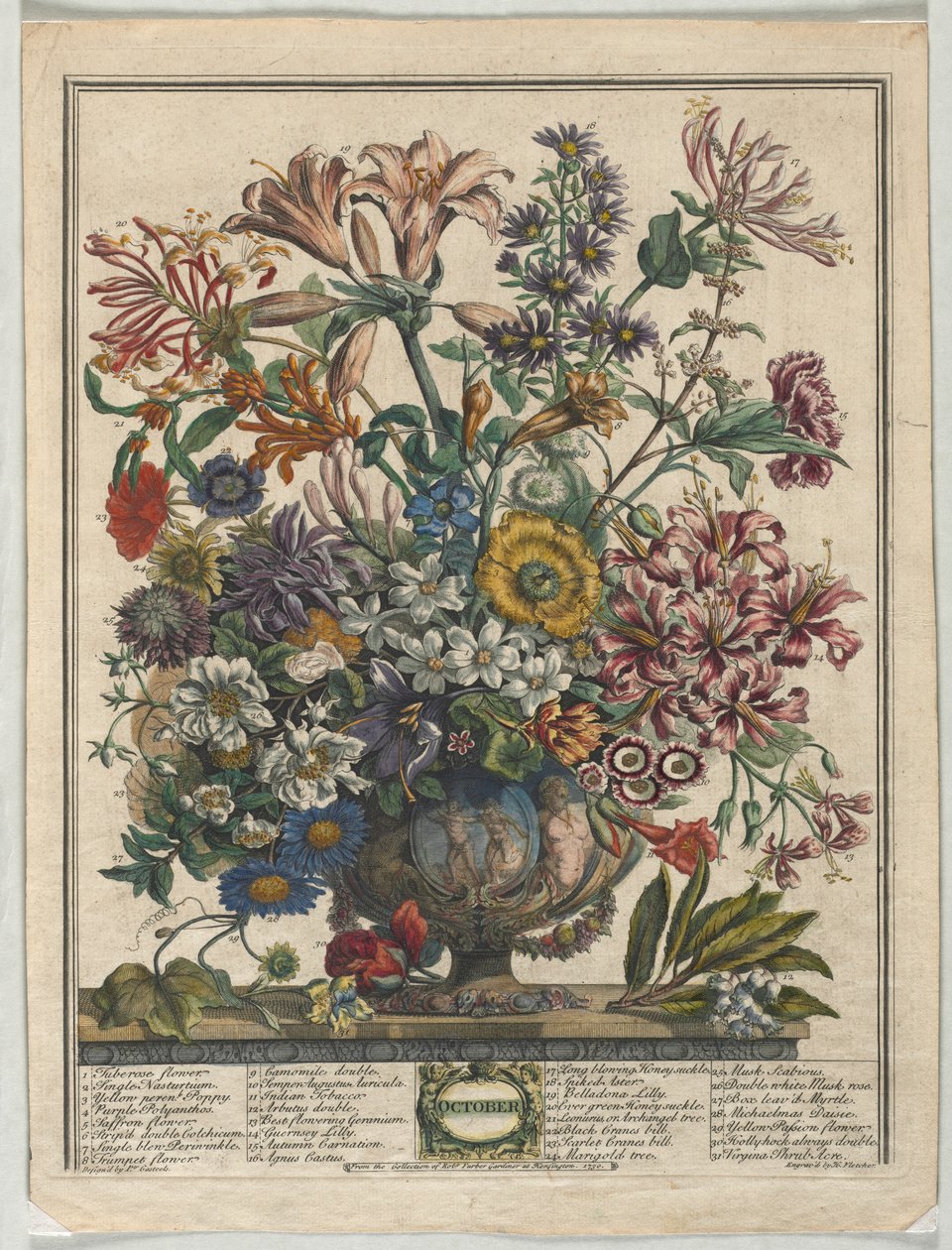 Twelve Months of Flowers: October, 1730 by Henry Fletcher