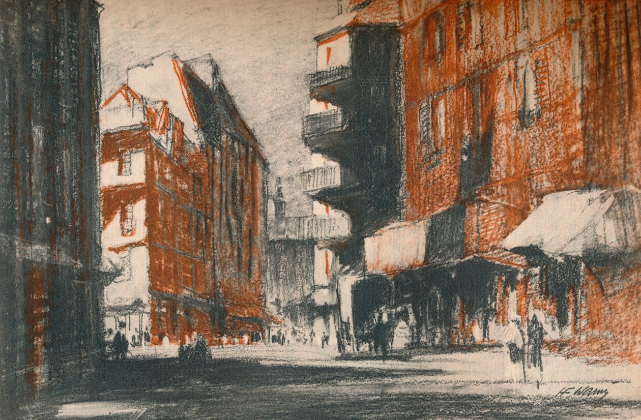 These Foreign-Looking Streets by Henry Franks Waring