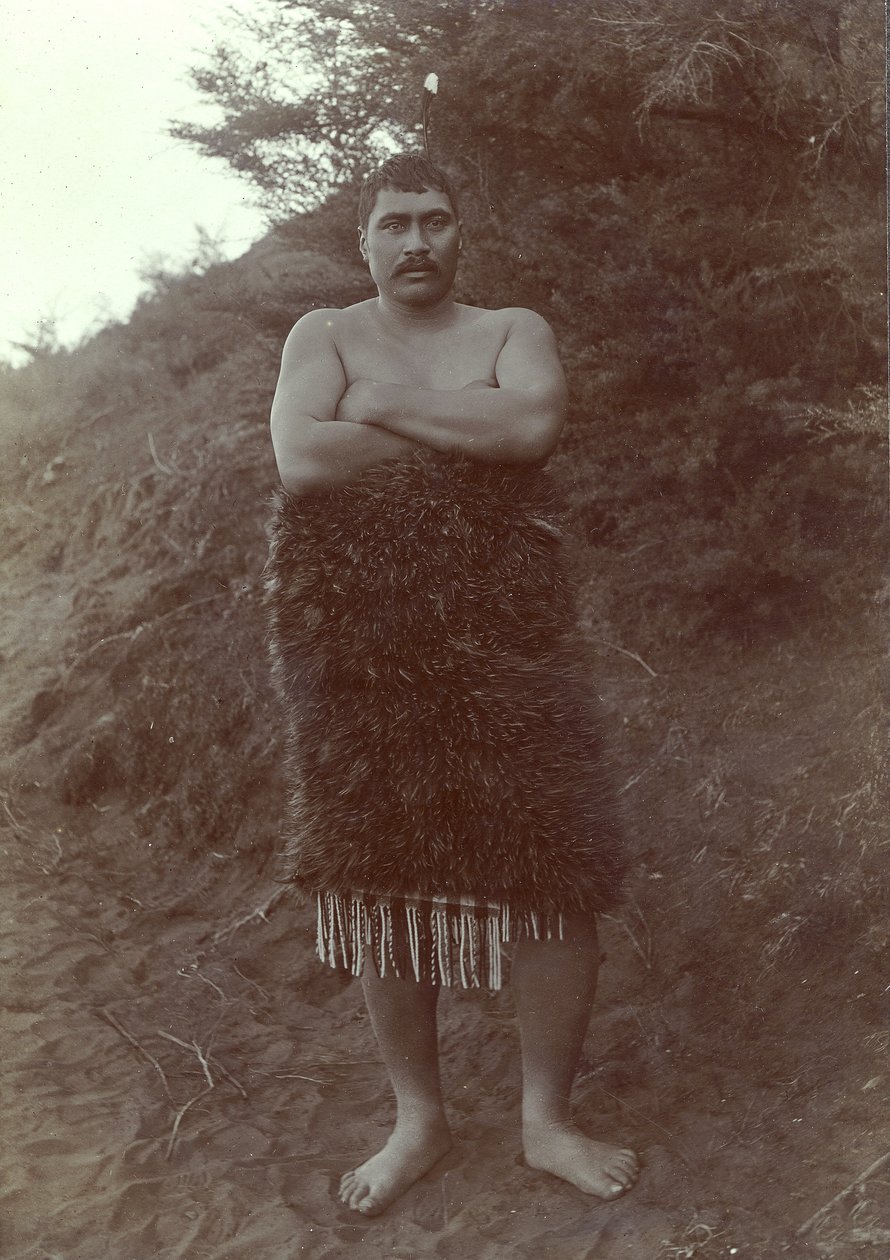Maori Study, c.1910 by Henry Gaze