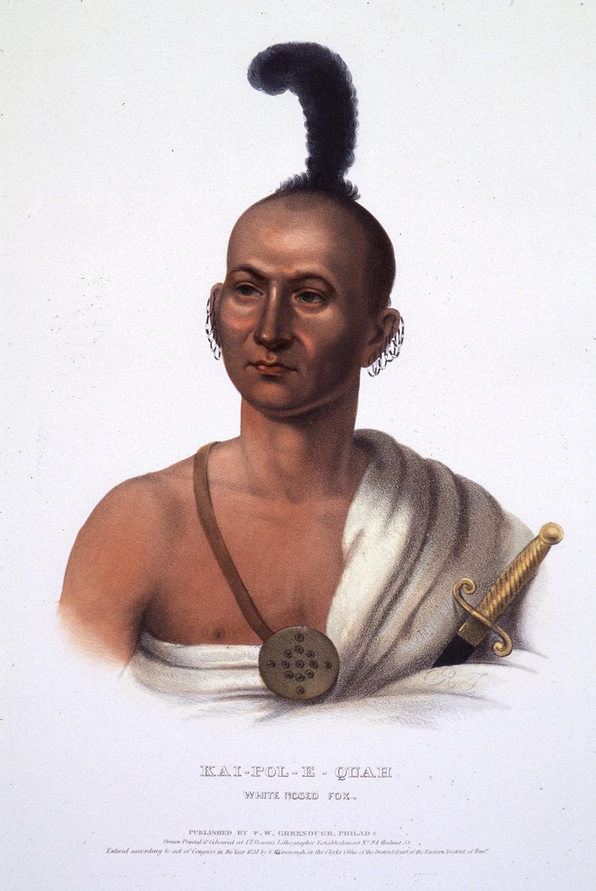 Kai-Pol-E-Quah, White Nosed Fox by Henry Inman