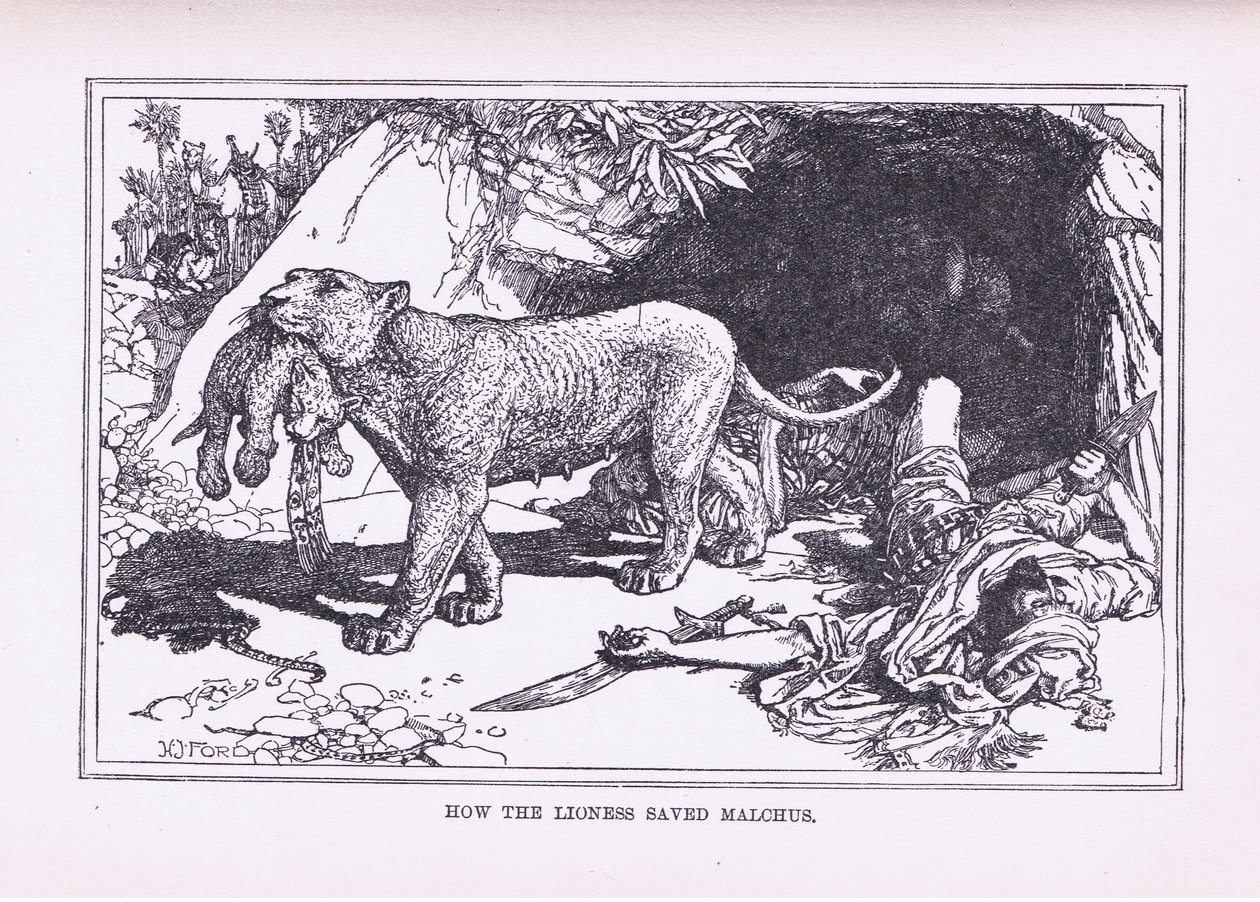 How the Lioness Saved Malcus by Henry Justice Ford