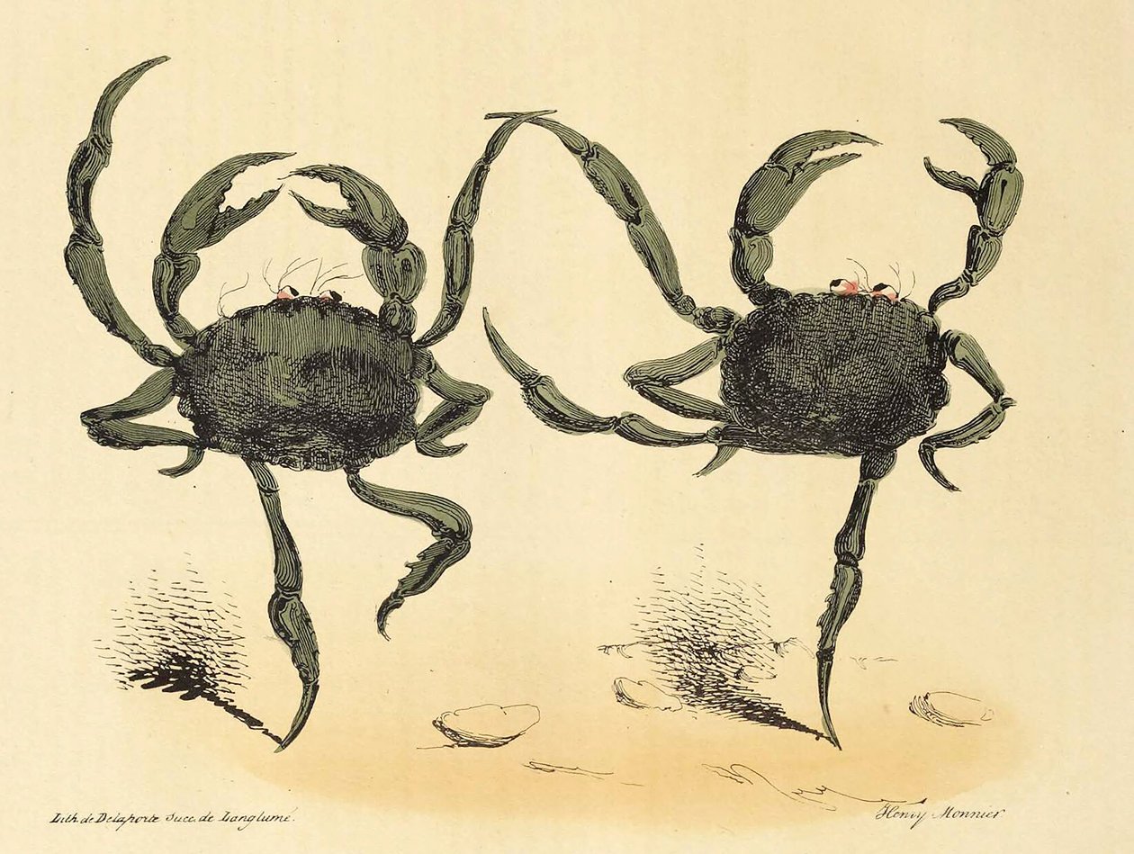 Danse Fantastique from La Caricature, pub. 1831 lithograph (1831) by Henry Monnier
