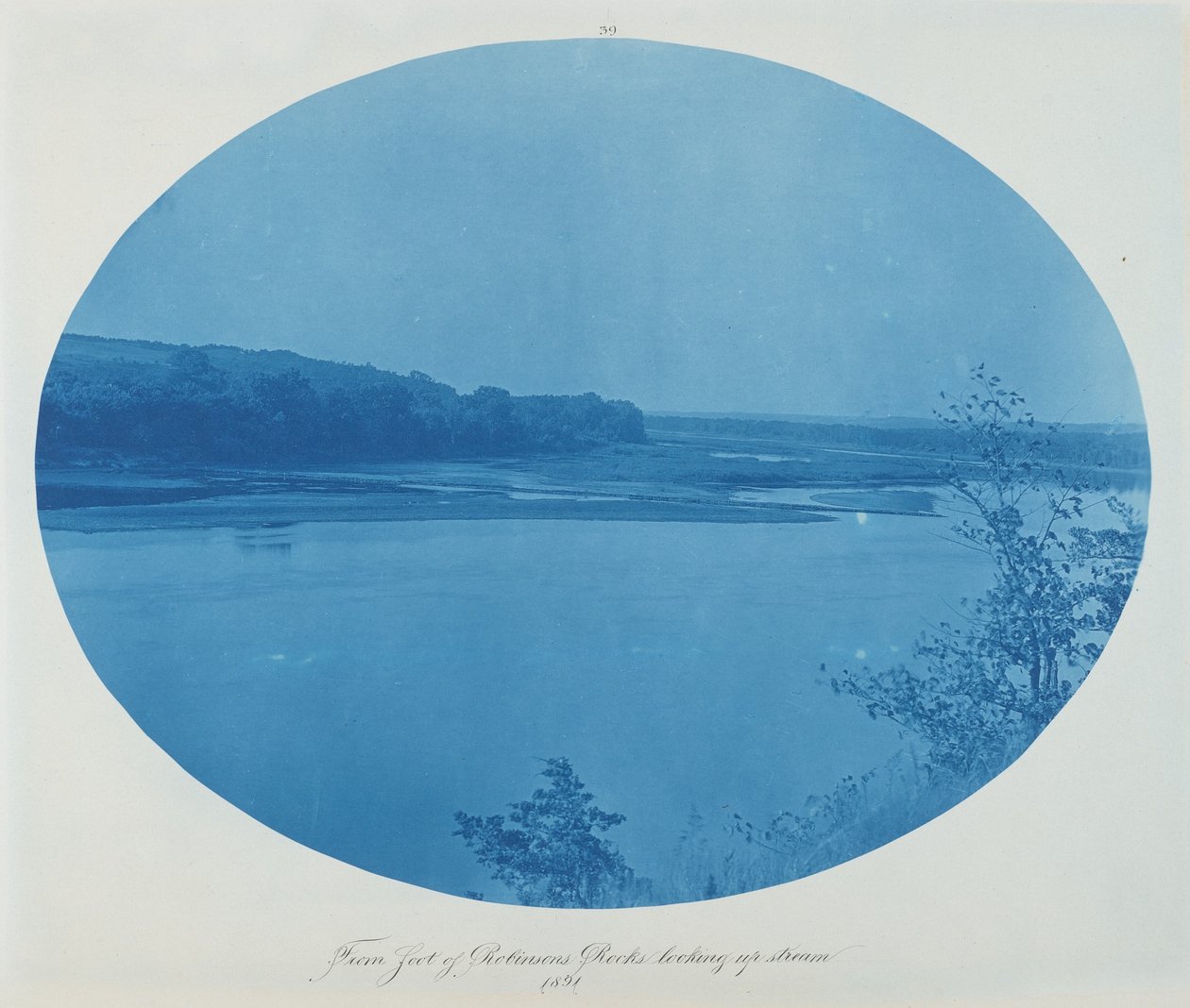 From Foot of Robinson