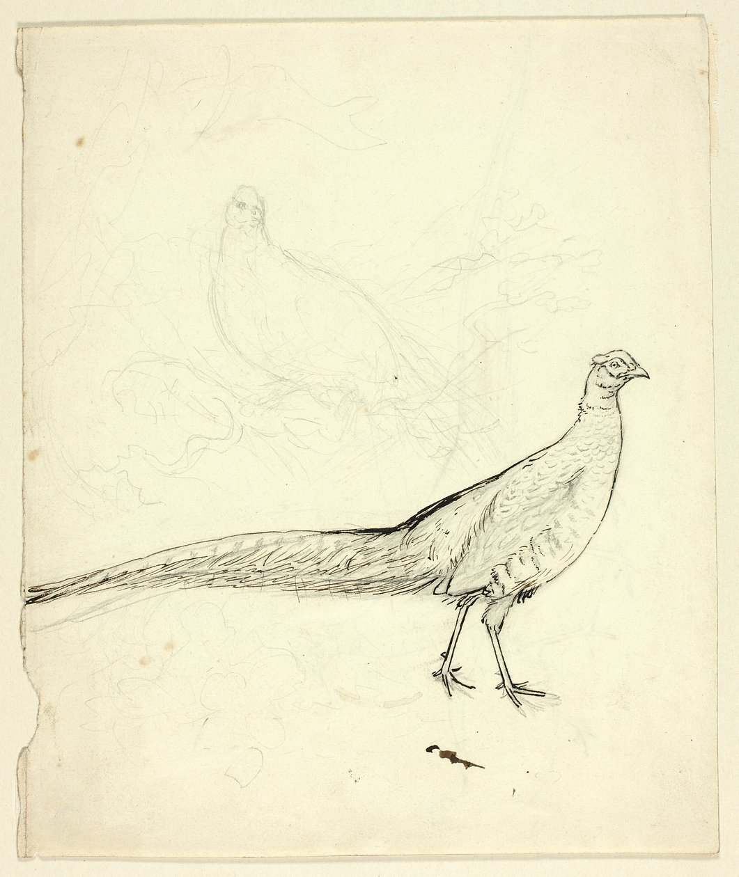 Two Sketches of Pheasant (front); Sketch of Pheasants and Female Nude (back) by Henry Stacy Marks