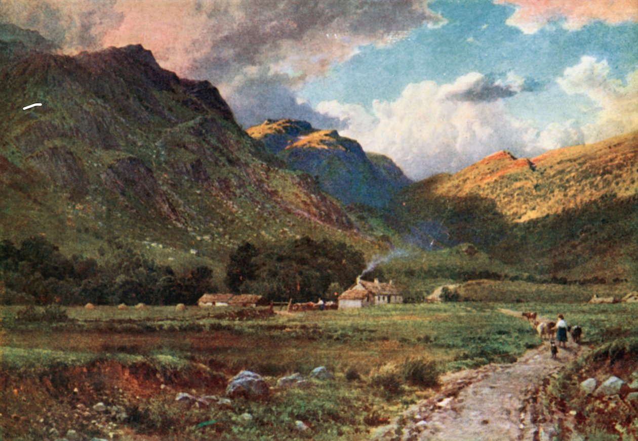 A Shepherd