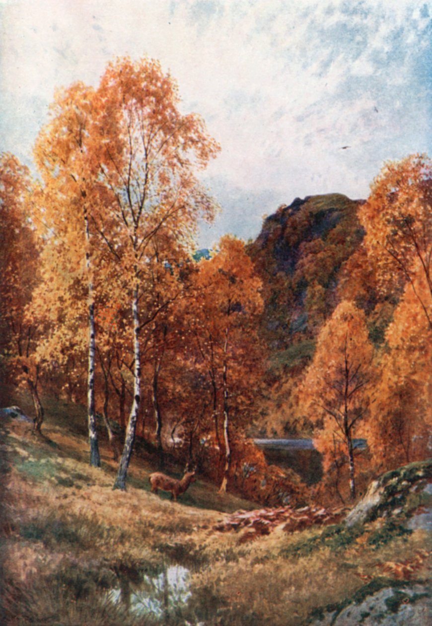 Golden Autumn, the Trossachs, Perthshire by Henry Sutton Palmer