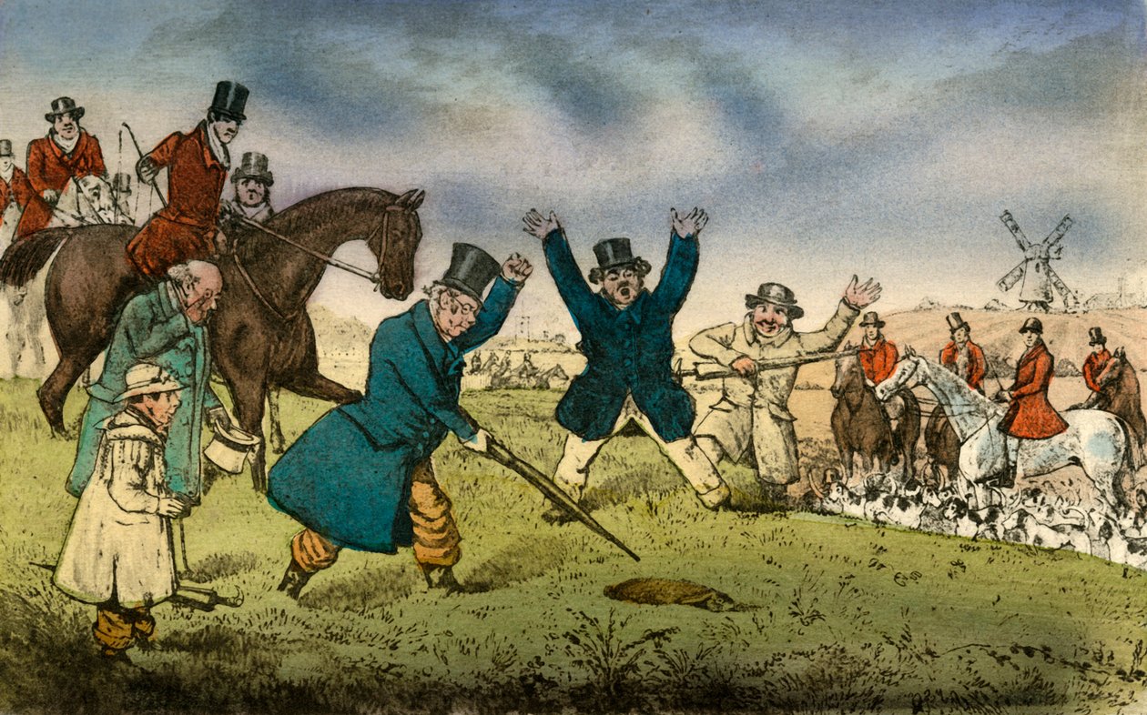 Old Tom, the Veteran Hare, and His Experiences by Henry Thomas Alken