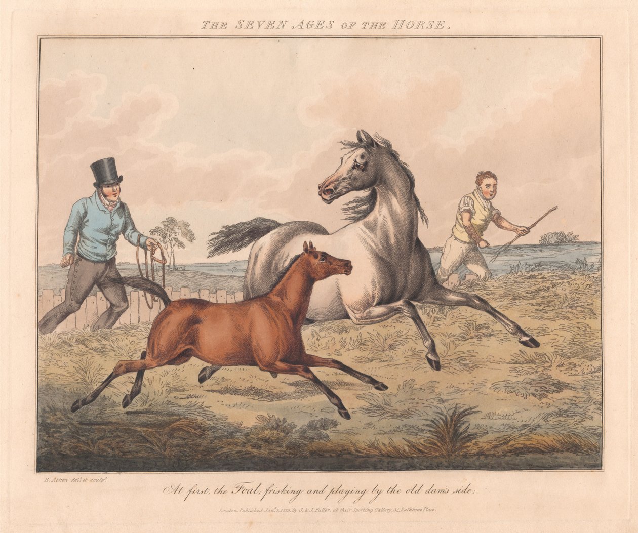 Set of Seven: The Seven Ages of the Horse by Henry Thomas Alken