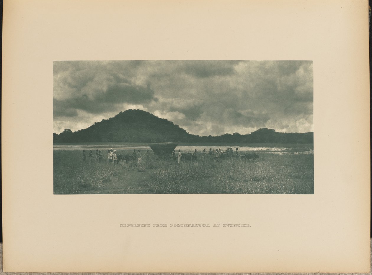 Returning from Polonnaruwa at Evening by Henry W. Cave