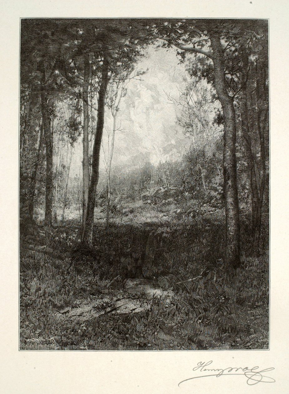 In the Adirondacks by Henry Wolf