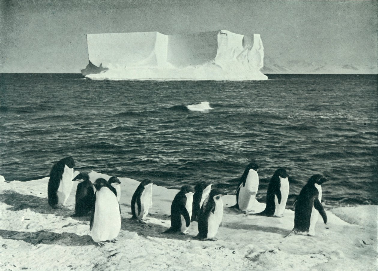 A Berg Drifting in McMurdo Sound by Herbert Ponting
