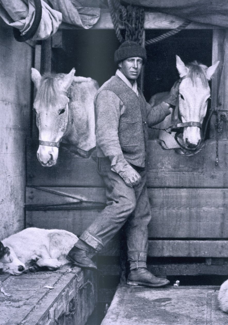 Capt. Oates and Two of the Ponies on the Terra Nova, from 