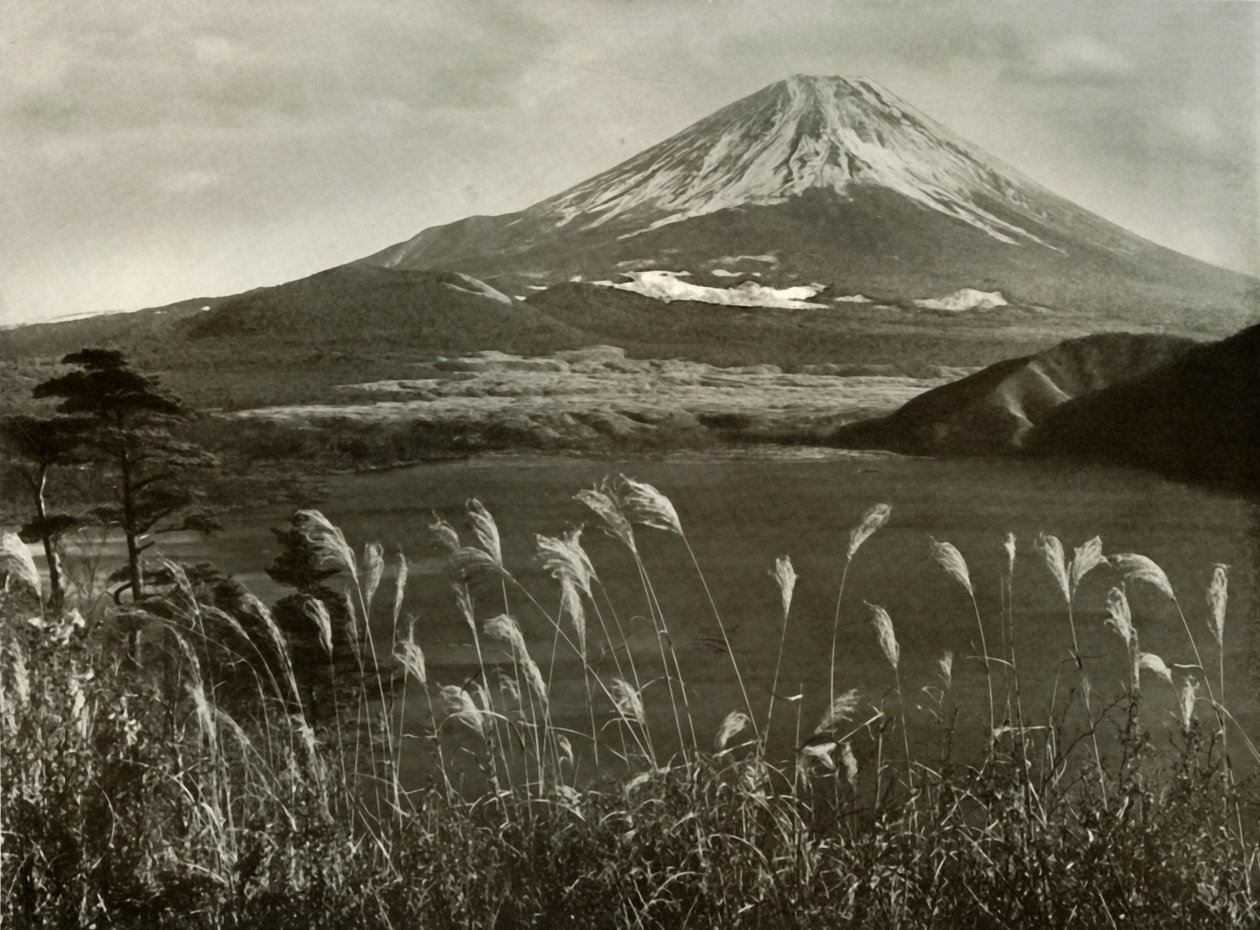 Fuji and the Kaia Grass by Herbert Ponting