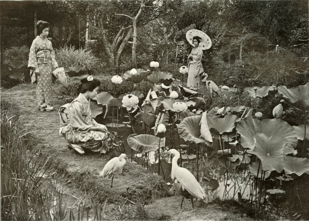 In Lotus-Land, 1910 by Herbert Ponting