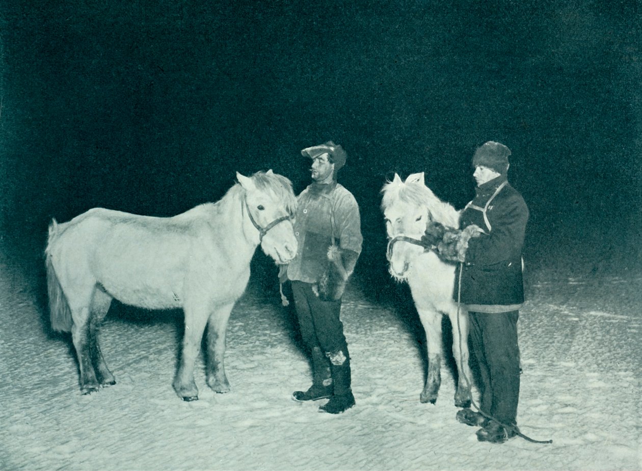 Petty Officers Crean and Evans Exercising Their Ponies in the Winter by Herbert Ponting