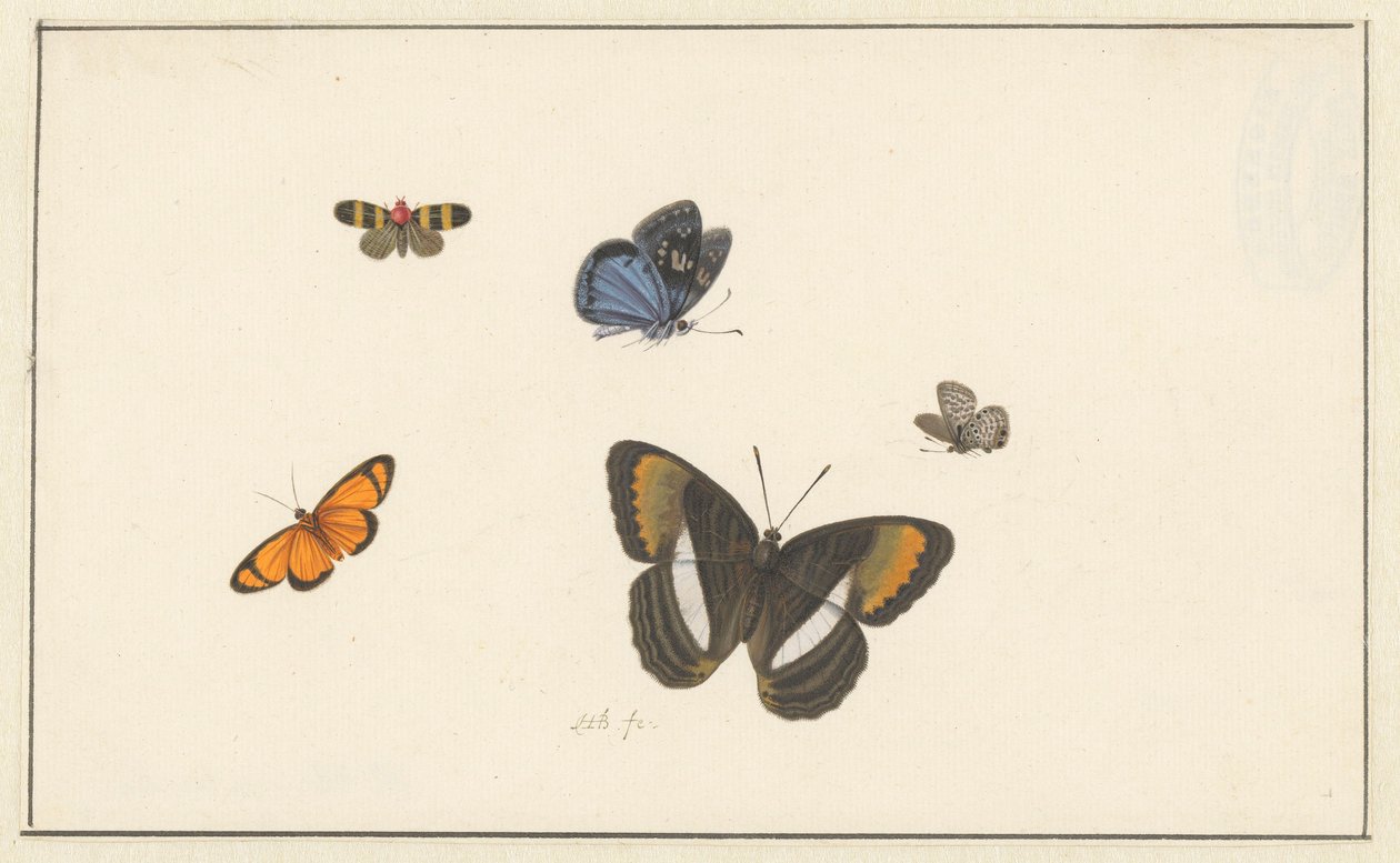 Five Butterflies by Herman Henstenburgh
