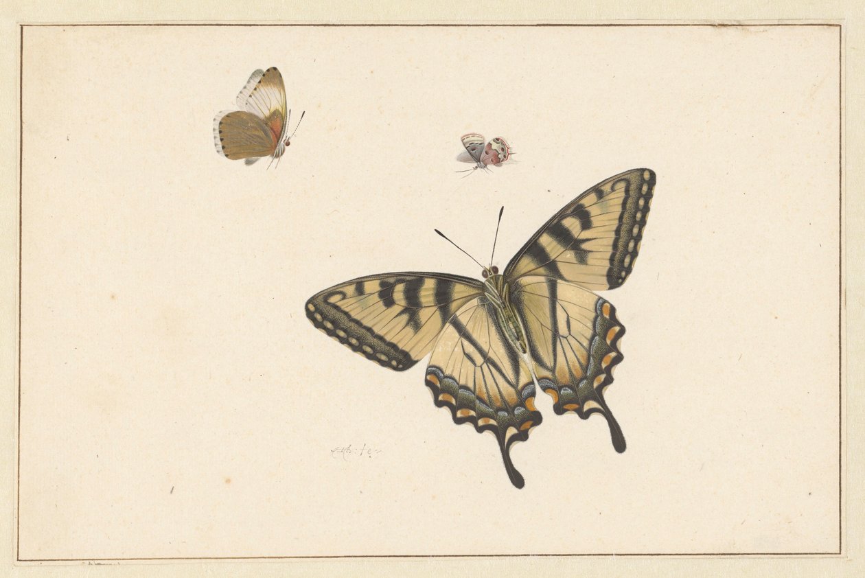 Three Butterflies by Herman Henstenburgh